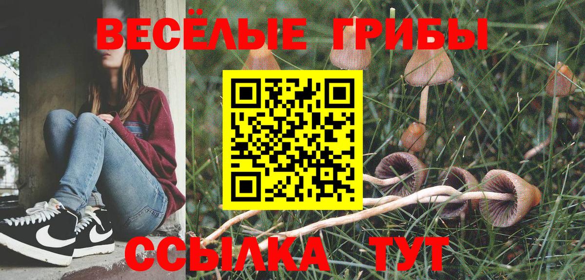 Ростов-на-Дону  Галлюциногенные грибы мухоморы  Вход с VPN 
